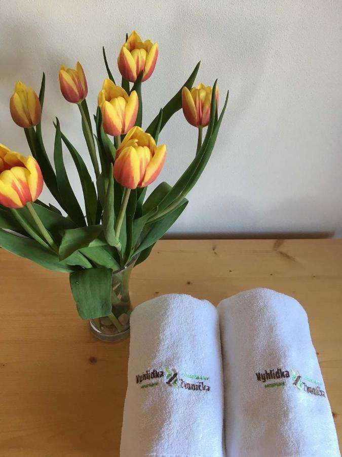Horský apartmán Vyhlídka Rejvíz Zlaté Hory Exterior foto